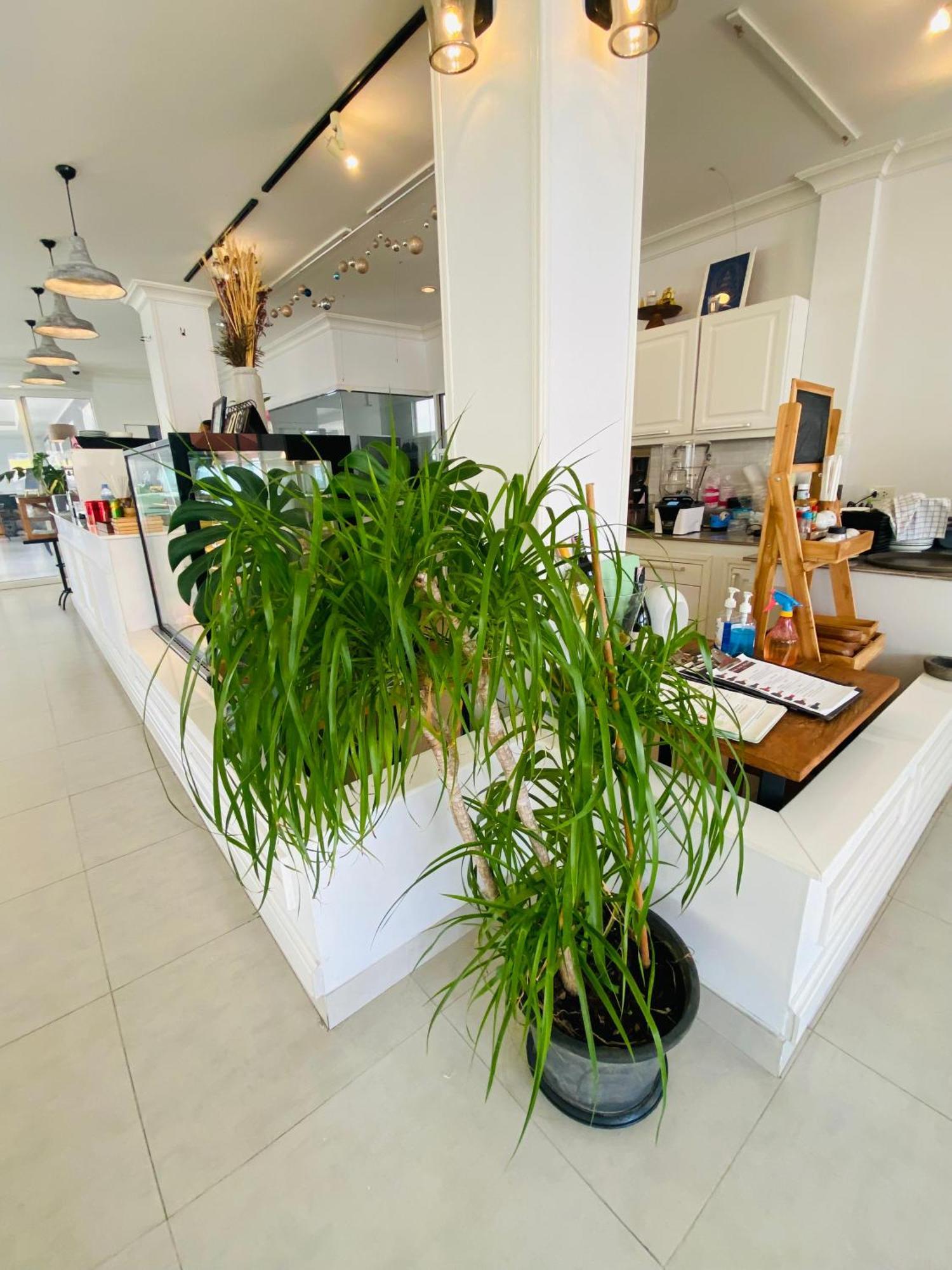 Forget Me Not Boutique Bed & Breakfast Hua Hin Ngoại thất bức ảnh